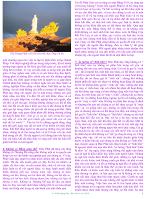 ban-tin-pdf-vu-lan-canh-dan-2010-cua-tu-vien-quang-duc-3
