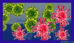 corona-virus-2