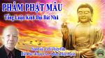 pham-phat-mau-photo