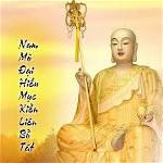 muc-kien-lien