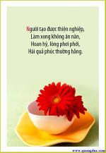 thien-nghiep