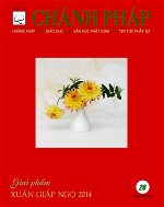 chanh-phap-so-26