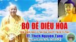 47a-tt-thich-nguyen-tang-bo-de-dieu-hoa