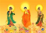 tinh-do-trong-nhan-gian