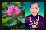chan-dung-cu-ba-nguyen-thi-truc