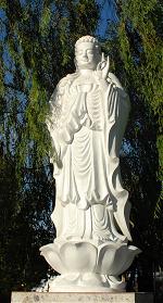 tu-vien-quang-duc-1