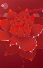 lotus-15