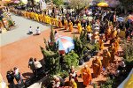 abdsc-2354