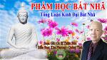 pham-hoc-bat-nha-cs-thien-buu-quang-tinh-photo