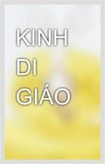 kinhdigiao-1