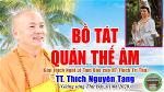 41-tt-thich-nguyen-tang-bo-tat-quan-the-am-5