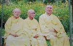 may-mua-vang-dang-1