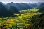 viet-nam