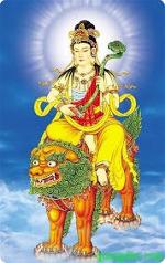 dai-tri-van-thu