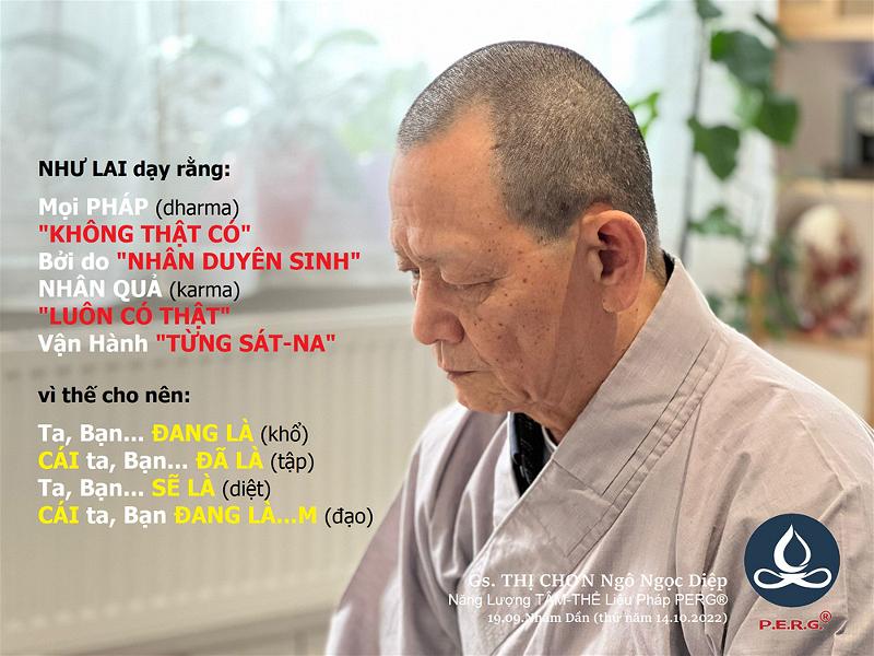 GS Thi Chon Ngo Ngoc Diep-2