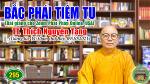 295-tt-thich-nguyen-tang-bac-phai-tiem-tu