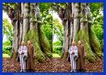 on-thai-sieu-thich-thien-loi