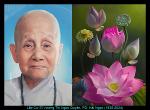 cu-ba-hai-ngoc
