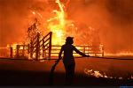 bush-fire-in-nsw-2019-4-