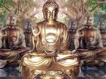 buddha-479