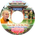 cd-label-niemphat-vulan2007