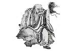 nam-tuyen-chem-meo