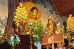 chuathienminh-37