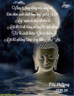 thich-vien-giac-phi-long