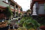 le-nhap-liem-nguyen-thi-be-1-