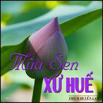 mua-sen