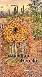 ht-thich-minh-tam-dau-chan-1