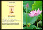 dien-thu-phan-uu-chua-vn-houston