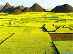 canh-dep-new-12