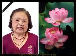 hoang-minh-trieu