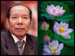 cu-ong-to-mai